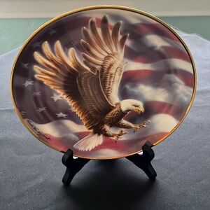 Vintsge 1990’’s AMERICAN EAGLE PLATE